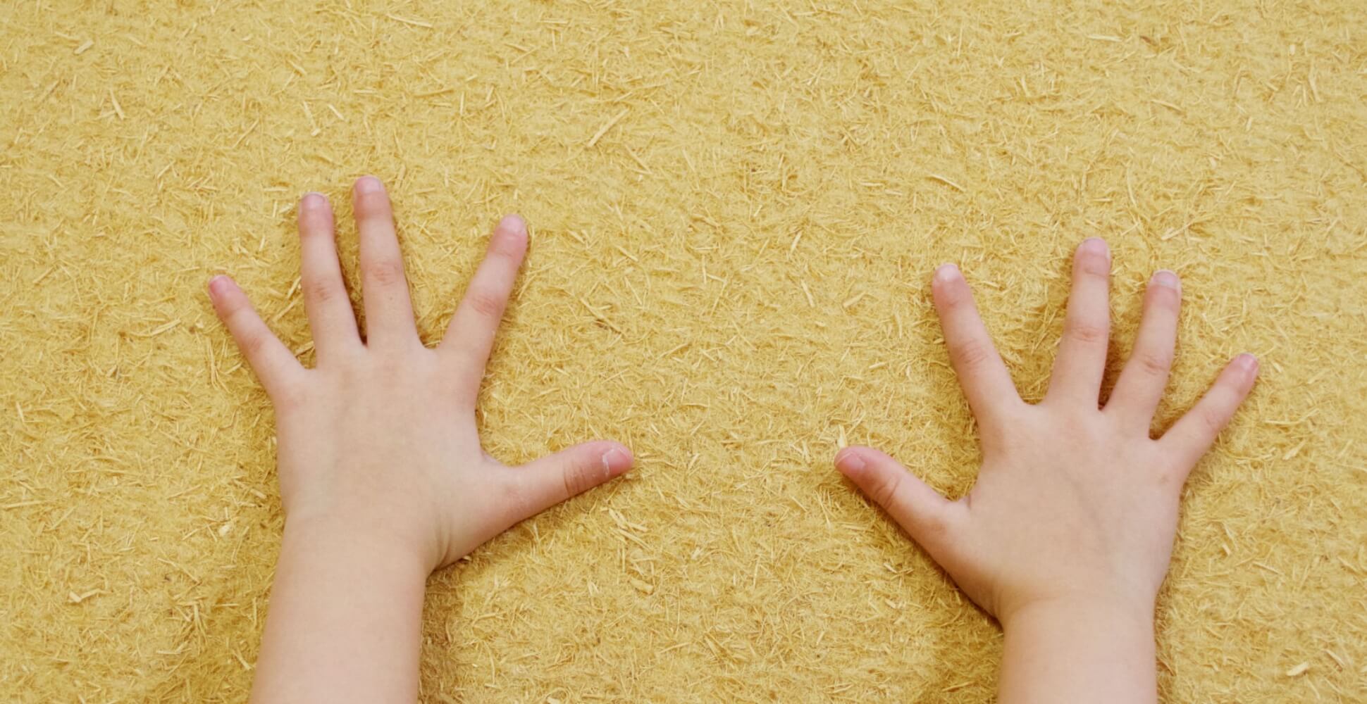 木から生まれた次世代断熱材