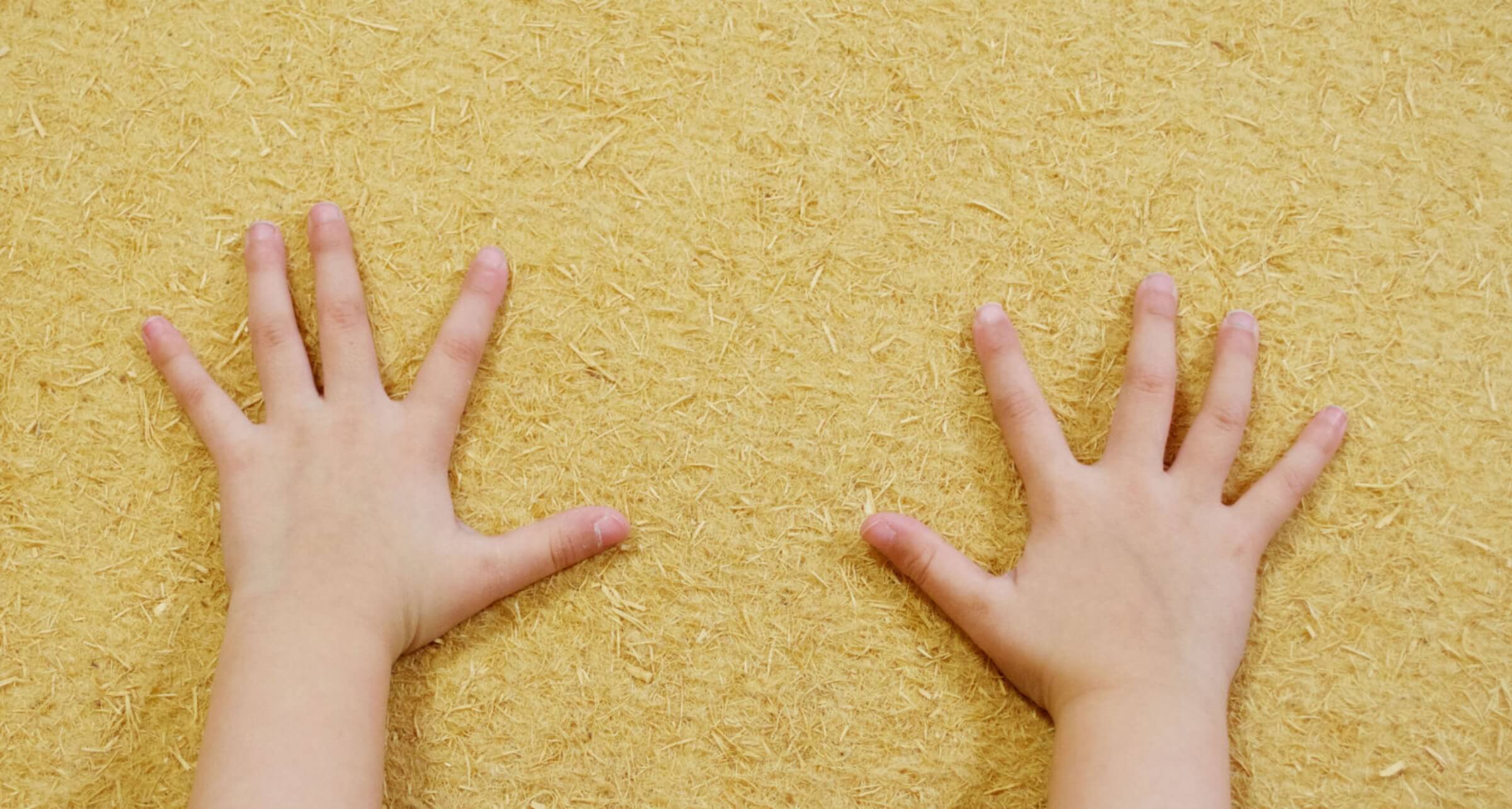 木から生まれた次世代断熱材