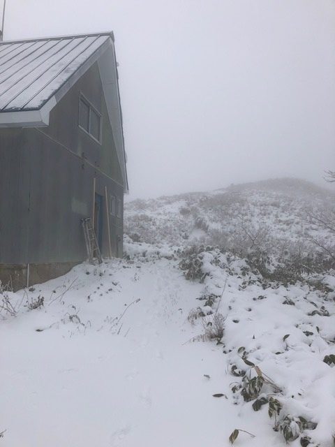 雪！！